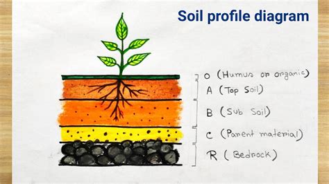 Soil Profile Diagram Drawing Easy Layers Of Soil Diagram How To
