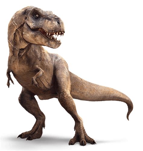 Tyrannosaurus Rex Jurassic World Wiki Fandom