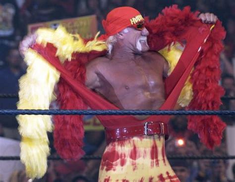 Hulk Hogan Racist Rant Allegedly Took Place During Sex Tape