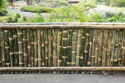 Bamboo Fence Panel A Creative Mom