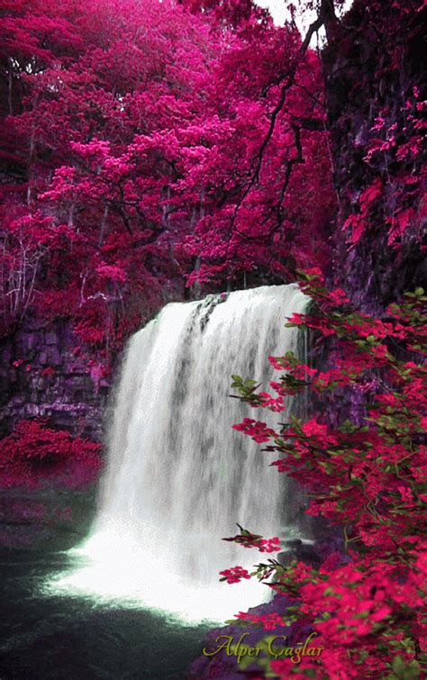 Waterfall Tumblr Waterfall Nature Gif Scenery My Xxx Hot Girl