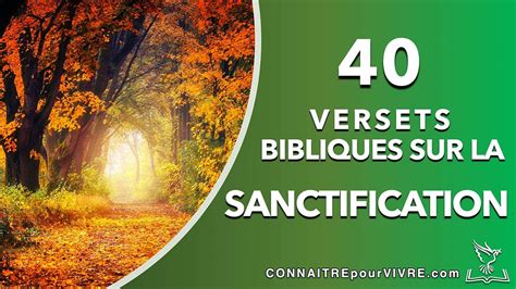 40 Versets Bibliques Sur La Sanctification