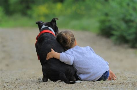 10 Reasons To Hug Your Dog Bechewy