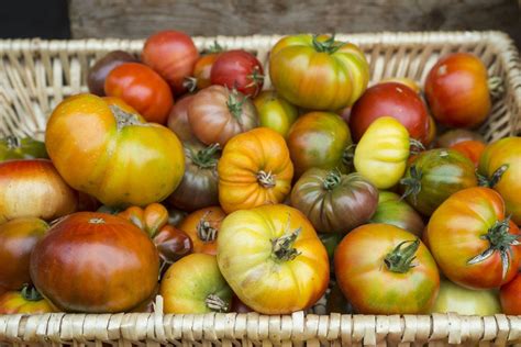 What Actually Makes An Heirloom Tomato Heirloom