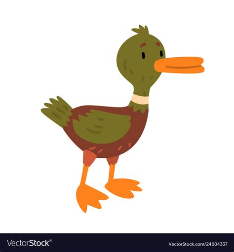 Male Mallard Duck Cute Funny Duckling Cartoon Vector Image