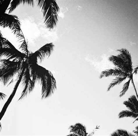 Computer Black And White Palm Tree Wallpaper Mural Wall