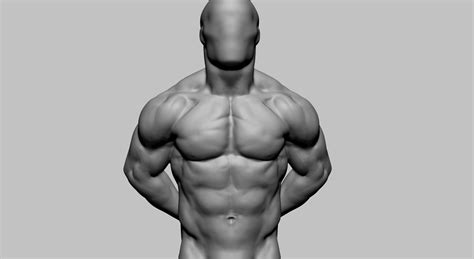 Dynamic Male Torso Flippednormals