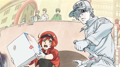 Red Blood Cell And White Blood Cell Cells At Work Hataraku Saibou 8k