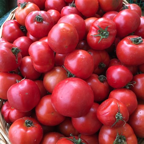 Early Girl Tomatoes Information Recipes And Facts
