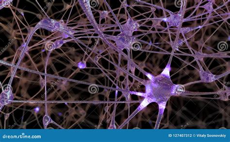 3d Rendering Of A Network Of Neuron Cells And Synapses In The Brain