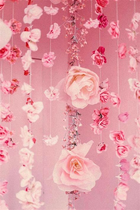 √ Pink Roses Aesthetic