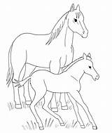 Fohlen Pferd Veulen Pferde Foal Ausdrucken Kleurplaten Paard Supercoloring Malvorlagen Tierbabys Malvorlage Puledro Huisdieren Cavallo Mytie Printen Häst Potrillo Potro sketch template
