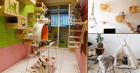 20 Amazing Cat Room Designs For Your Inspiration Hello Lidy In 2021