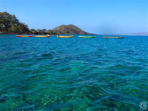 Paddle With Turtles At Makena Landing In Makena Maui Hawaii
