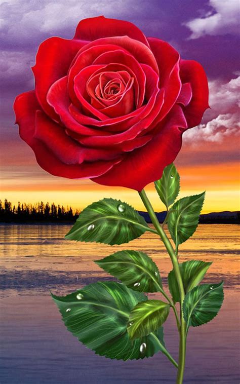 Hd Rose Flowers Live Wallpaper For Android Apk Download