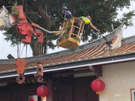 영어, 국어, 한자, 일본어, 중국어를 포함한 41종 언어 사전과 다양한 언어 학습 서비스 제공. 金門木棉樹王花絮惱人 台灣攀樹專家跨海摘果