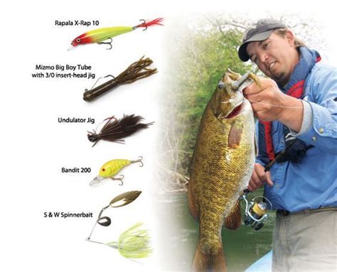 Narrowing The Playing Field Against Smallmouth Bass In Fisherman