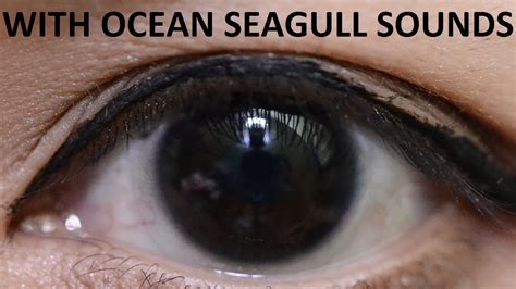 The eyes of darkness by dean koontz. Black Eyes Biokinesis Subliminal Hypnosis (Ocean Seagull ...