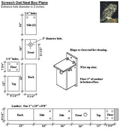 Luz vs anne (the owl house vs amphibia). Owl box, Owl and Boxes on Pinterest