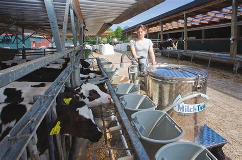 Automatic Calf Feeders Lawrences Dairy Supply Inc