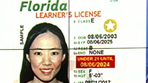 Fl Drivers License Check By Name Mazloco