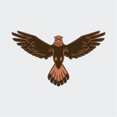 Premium Vector Eagle Vector Illustration Logo