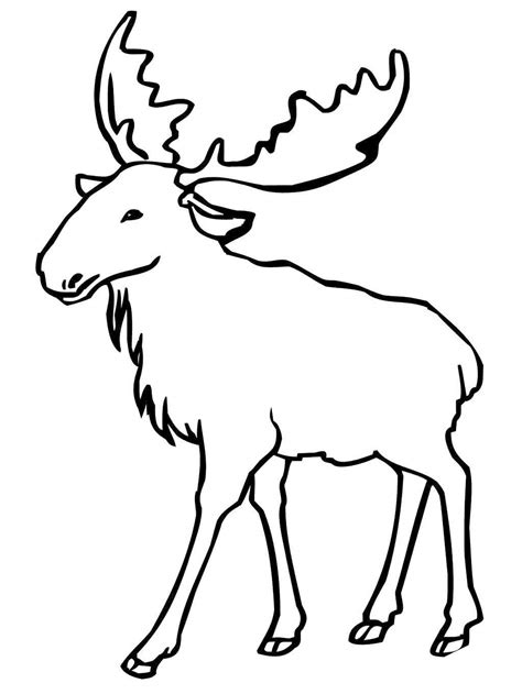 Moose Coloring Pages Clipart Free Printable Coloring Pages