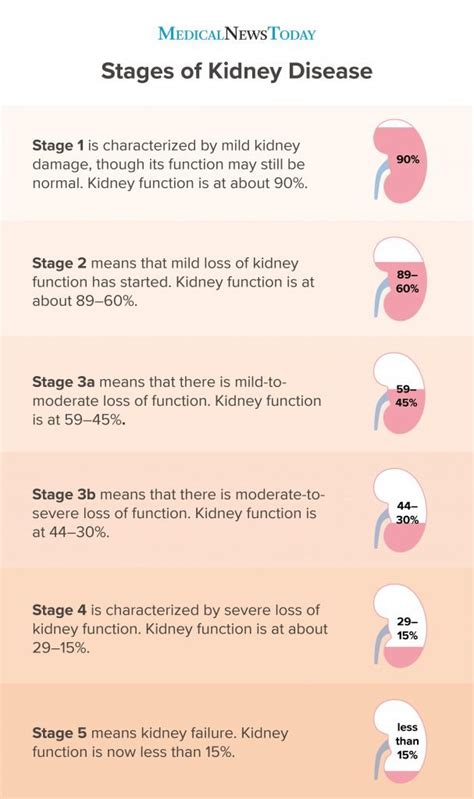How To Tell If Your Kidneys Are Failing