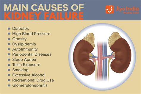 Causes Of Kidney Failure Remedies For Kidney Infection Kidney