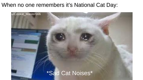 Happy National Cat Day Memes
