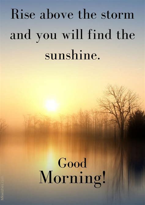 25 + Beautiful Good Morning Sunshine Images With Quotes - MK Wishes