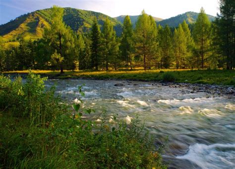 Besplatna Slika Planina Rijeka Drvo Stablo Priroda Krajolik Voda