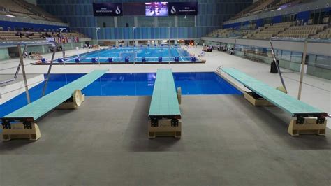 Diving Boards Nz Photos