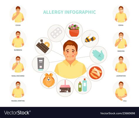 Allergy Infographic Royalty Free Vector Image Vectorstock