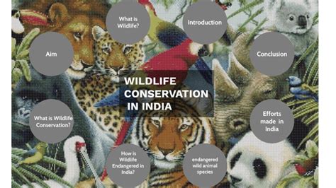 Wildlife Conservation In India By Manya Mathur On Prezi