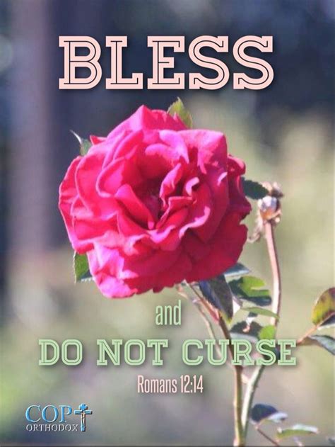 Romans 1214 Bless And Do Not Curse Blessed Quotes Scripture Verses