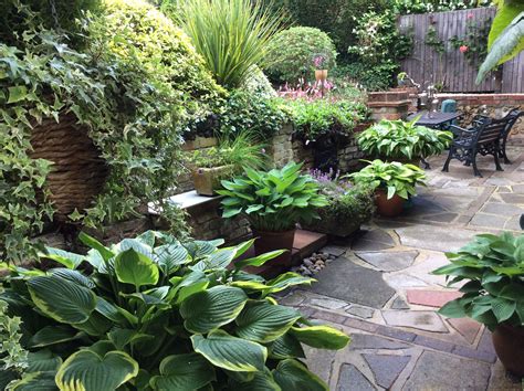 23 Small Hosta Garden Ideas To Try This Year Sharonsable