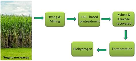 Overview Of The Process Flow Diagram For The Conversion Of Sugarcane