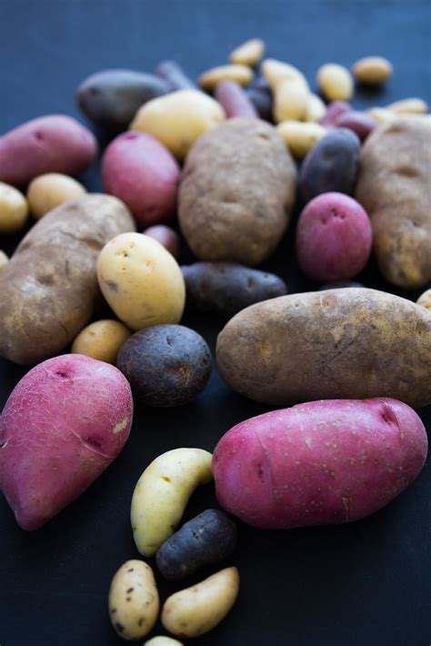 Different Types Of Potatoes