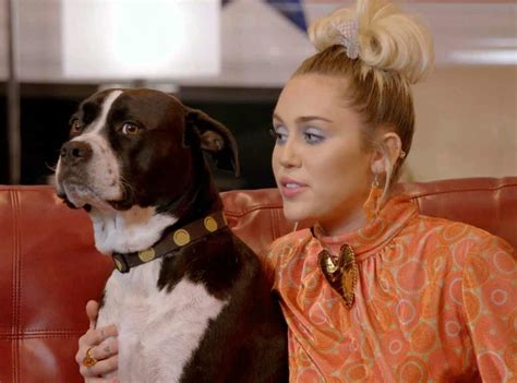 Meet Miley Cyrus Dog Mary Jane Because Of Course She Has A Dog Named