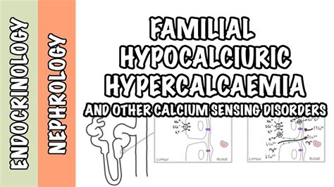 Familial Hypocalciuric Hypercalcemia Other Calcium Sensing Disorders