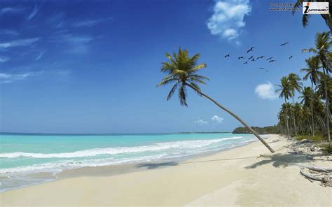 Tropical Beach Cayman Islands Tropical Beach Cayman Island Flickr