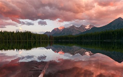 Canada Banff National Park Rocky Mountains Herbert Lake Coniferous