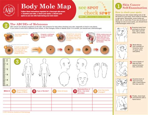 How To Check Your Skin For Skin Cancer Temple University Acs