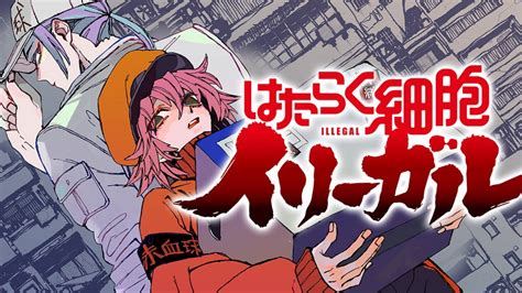 New Cells At Work Spin Off Starts This Winter Anime Corner