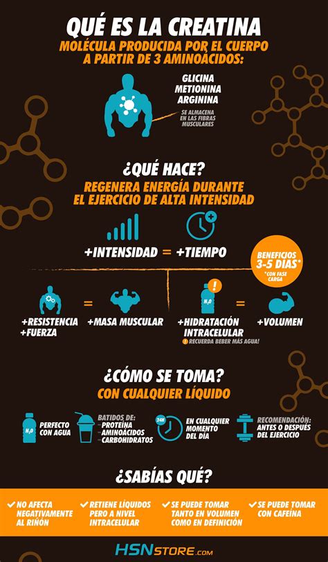 Infografia De La Creatina Creatina Beneficios Nutricion Y Ejercicio
