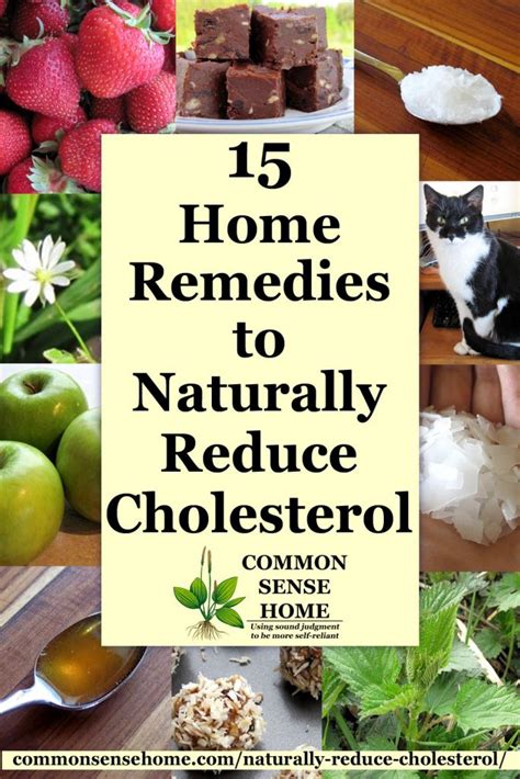 What foods to eat to lower cholesterol? 15 Home Remedies to Naturally Reduce Cholesterol
