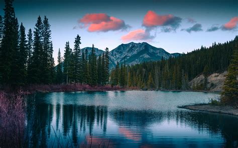 Download Wallpaper 1920x1200 Lake Mountains Forest Landscape Nature