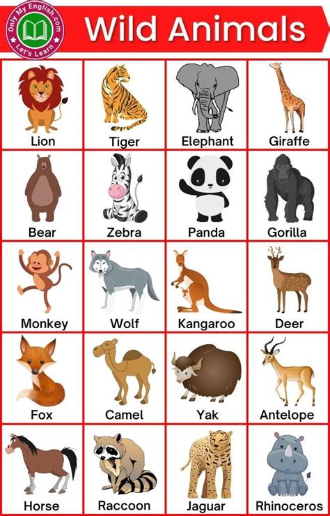 30 Wild Animals Name In English With Images