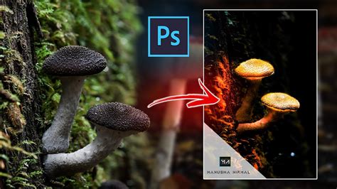 How To Glowing Mushroom In Photoshop Manipulation Tutorial
